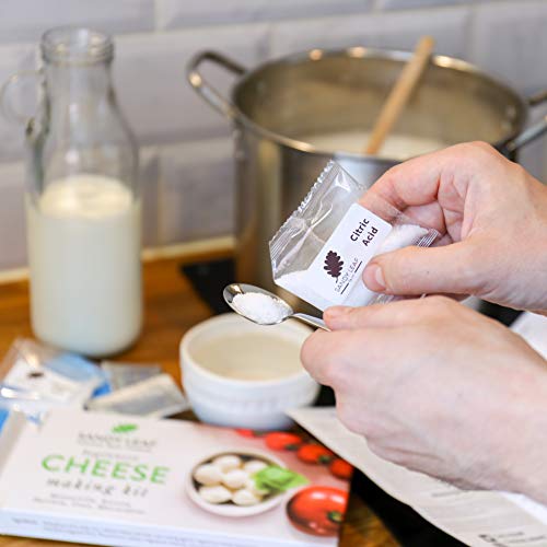 4 Beginners+Cheese+Making+Kit+Mozzarella