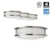 Hyperikon LED Flush Mount Ceiling Light, 10