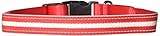 GoDoggie-GLOW USB Rechargeable LED Dog Safety Collar, Large ( 15 - 23.6