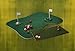 The Ultimate Pool & Backyard Golf Game