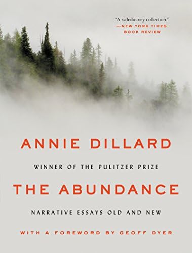 Teaching a Stone to Talk: Dillard, Annie: 9780060150303: Amazon
