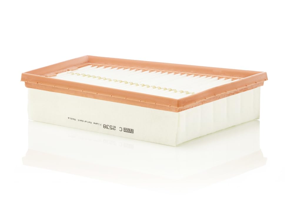 MANN-FILTER C 2538 Air Filter - for Cars + Transporters