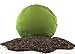 Waterglider International Replacement Buckwheat Husks for Meditation Zafu or Pillow, USA Grown Hulls, 2 lbs