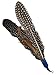 Prairie Horse Supply Replacement Feathers for Cat Wand (5 Pack) Refill for Da Bird GoCat Toy Top Choice Teaser Interactive Play for Kittens All Natural Genuine Guinea Feathers