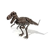 Uncle Milton Dr. Steve Hunters-Dino Dig Excavation Kit - T. Rex - 13Piece - Scientific Educational Toy