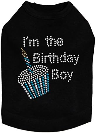 birthday boy dog shirt