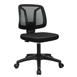 VigorPow Armless Mesh Office Chair Ergonomic Swivel Black Small Computer Desk Chair No Arms with Lumbar Support Height…
