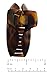 Parcelona French Elegant Light Tortoise Shell Medium 2 3/4
