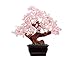 Tesco store Natural Rose Quartz Crystal Money Tree Bonsai Style Decoration （Wealth and Luck）