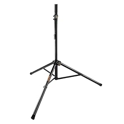 Electro-Voice EVERSE 12 Battery-Powered Loudspeaker