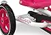 Buddy Pedal Go Kart