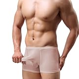 JKJK 6 Colors Pouch Panties Men's Lace Thong Bikini Briefs Hipster Girlie Underwear Sexy For Men (M, Nude)