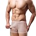 JKJK 6 Colors Pouch Panties Men's Lace Thong Bikini Briefs Hipster Girlie Underwear Sexy For Men (M, Nude)