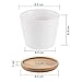 T4U 3.5 Inch Ceramic White Round Simple Design Succulent Plant Pot/Cactus Plant Pot with Free Bamboo Tray