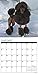 Just Toy & Miniature Poodles 2017 Wall Calendar (Dog Breed Calendars)