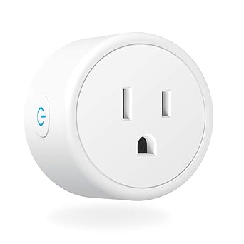 home assistant amazon smart plug