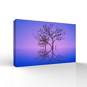 Canvas Wall Art for Living Room,Bedroom Home Artwork Paintings A Lonely Tree Ready to Hang - 12x18 inches