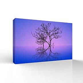 SIGNFORD Canvas Wall Art for Living Room,Bedroom Home...