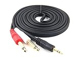 Devinal 1/8 inch Male Stereo to Dual 1/4 Mono Male Audio Cable, 3.5mm TRS to Dual 6.35mm TS Y Splitter Breakout Cord, Gold Plated Heavy Duty Durable [10 Feet]