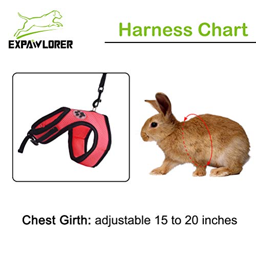 EXPAWLORER 2 Pack Rabbit Harness with Stretchy Leash Suitable for
