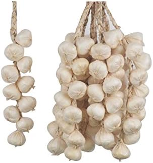 ClearUmm 5 Pcs Artificial Vegetable String Ornaments Wall Decor for Home Garden (Garlic)