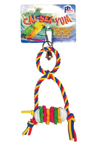 Prevue hendryx cal sea yums horse bird toy