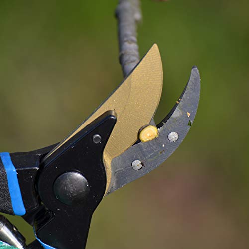 Prostormer 8" Bypass Pruning Shears, Heavy Duty Garden Pruners Tree Trimmer Secateurs with SK-5 Steel Blade and Safety Lock - Ideal Branches, Vines, Flowers Clippers
