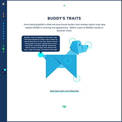 wisdom genetic testing