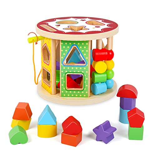 Montessori Wooden Shape Sorter Cube for 18+ Months Babies with 22PCS