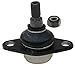 ACDelco Advantage 46D2356A (19298193) Front Lower Suspension Ball Joint Assembly