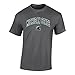 Michigan State Spartans TShirt Heather Gray