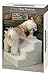 Etna Products JSNY Pet Stairs 3 Steps Stairs, Small Dog/Cat Steps