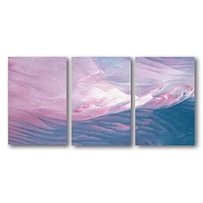 3 Panel Canvas Wall Art Abstract Color Pictures Home Wall Decorations for Bedroom Living Room Paintings Canvas Prints Framed - 16"x24" x 3 Panels