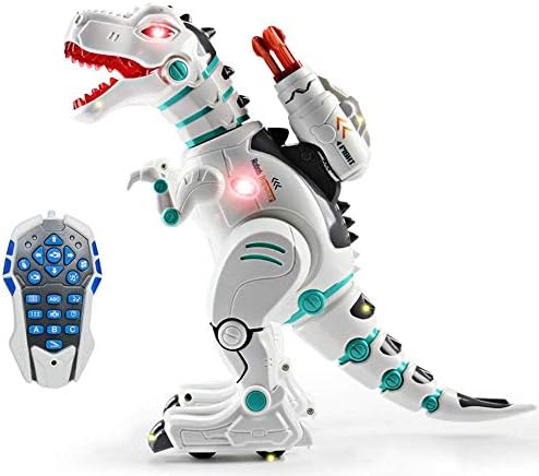 remote control robot wala