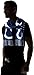 Indianapolis Colts 2014 Big Logo Scarf