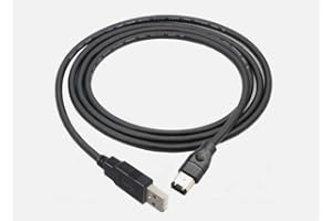 Bizlander Firewire USB 2.0 to 6 Pin Cable Rugged Connection with 6 Feet Adaptor Convertor Cable Cord for Image and Video File
