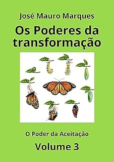 Livro O Poder da Aceitação (Os Poderes da Transformação Livro 3)
