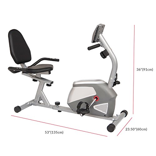 Body Champ Magnetic Recumbent Exercise Bike, Low-Impact Exercise Indoor Cycling Bike for Cardio Fitness, Equipment for Home Gym BRB852, Black/Silver, one Size