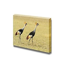 Grey Crowned Crane Balearica Regulorum Gibbericeps Kenya Africa - Canvas Art Wall Art - 12" x 18"
