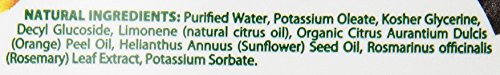 VEGGIE WASH FRUIT & VEGETABLE WASH, PRODUCE WASH AND CLEANER, 16-FLUID OUNCE, CASE OF 12, PACKAGING MAY VARY