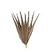 Pheasant Tail Feather Craft Supplies - 14-18