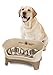 Neater Feeder Express Mess Proof Dog Bowls Elevated for Medium to Large Sized Breed, No Spill Raised Dog Food Bowl Stand, Stainless Steel Food and Water Bowl Set, Pet Dish Feeding Station, Cappuccino