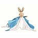 Beatrix Potter Peter Rabbit Comfort Blanket