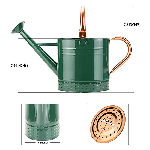 Megawodar 1 Gallon Metal Watering Can with Removable Spout, Nice Galvanized Steel Water Can with