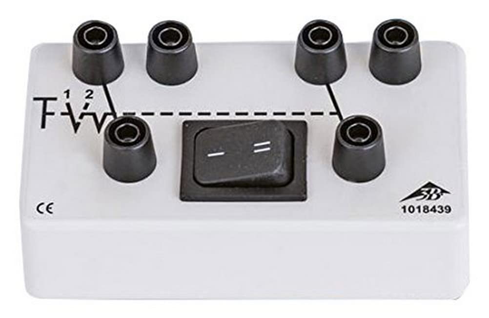 3B Scientific U8495901 Double-Pole Double Throw Switch