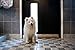 36” Premium Quality Draft Stopper Keeps Drafts Out – Save On Heating and Cooling Costs – 1.5 lb Heavy Door Draft Stopper Keeps Cold Out – Keeps AC Inside – Draft Guard Lowers Bills and Keeps You Cozy