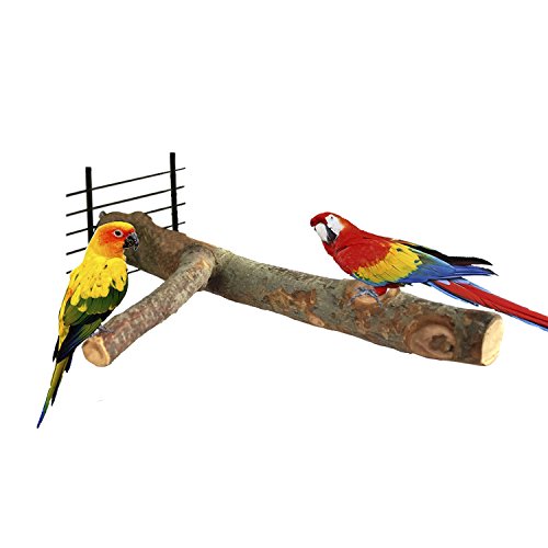 BWOGUE Bird Perch,Nature Apple Wood Stand Toy Branch for Parrots Cages Toy