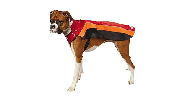 kong dog harness amazon