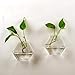 AWEVILIA Wall Hanging Plants Planter Terrariums Creative Fashion Glass Hexagon Shape Vase Home Decor Wall Plants Set of Two