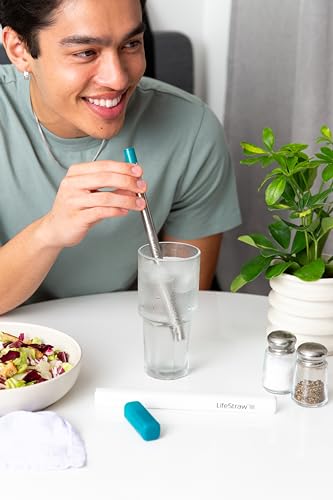 LifeStraw Sip – Reusable Stainless Steel Water Filter Drinking Straw